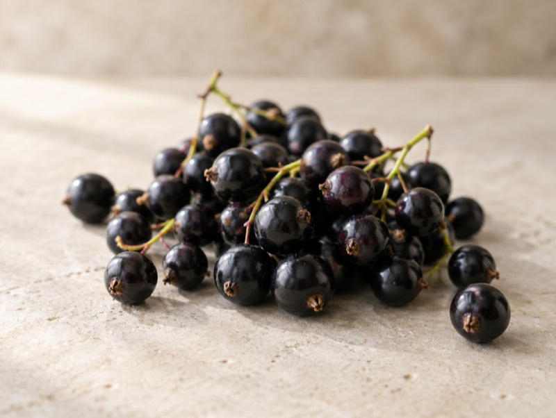 Blackcurrant